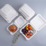 9X9″ 3 COMPARTMENT Plastic Clamshell Container