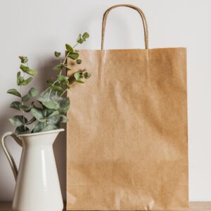 Paper Bag with Twisted Handle 13x7x13″